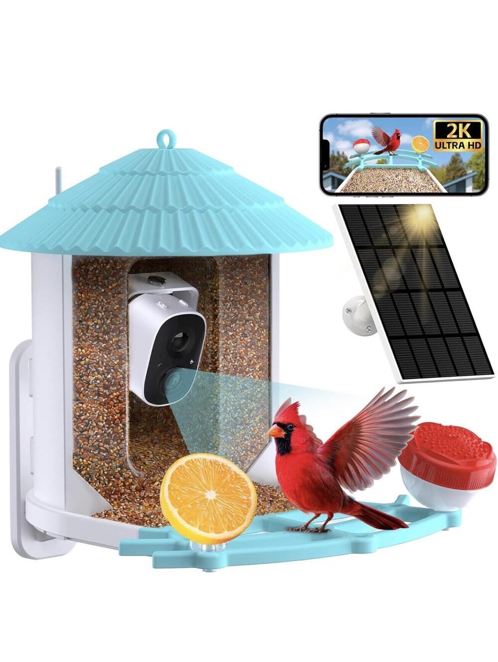 Smart Bird Feeder with Camera, AI Bird Species Identification, 5W Solar Panel